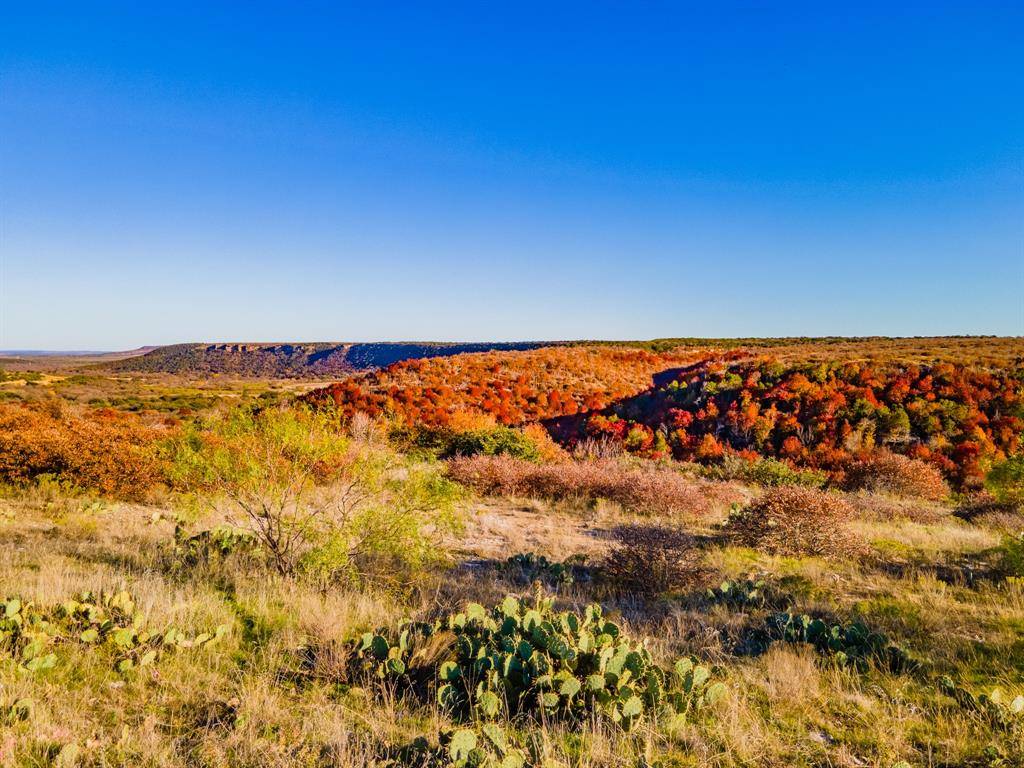 Possum Kingdom Lake, TX 76449,Lot 109 Oak Tree Drive