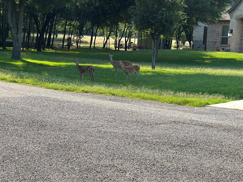 Azle, TX 76020,129 Lariat