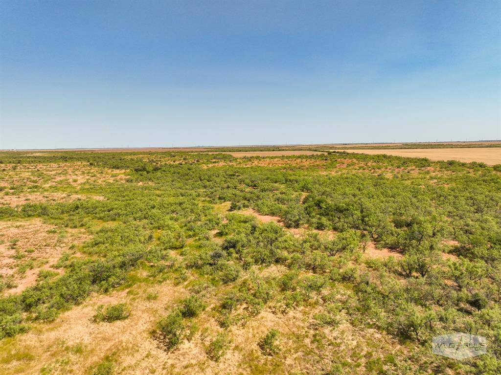 Crowell, TX 79227,TBD TBD FM 267