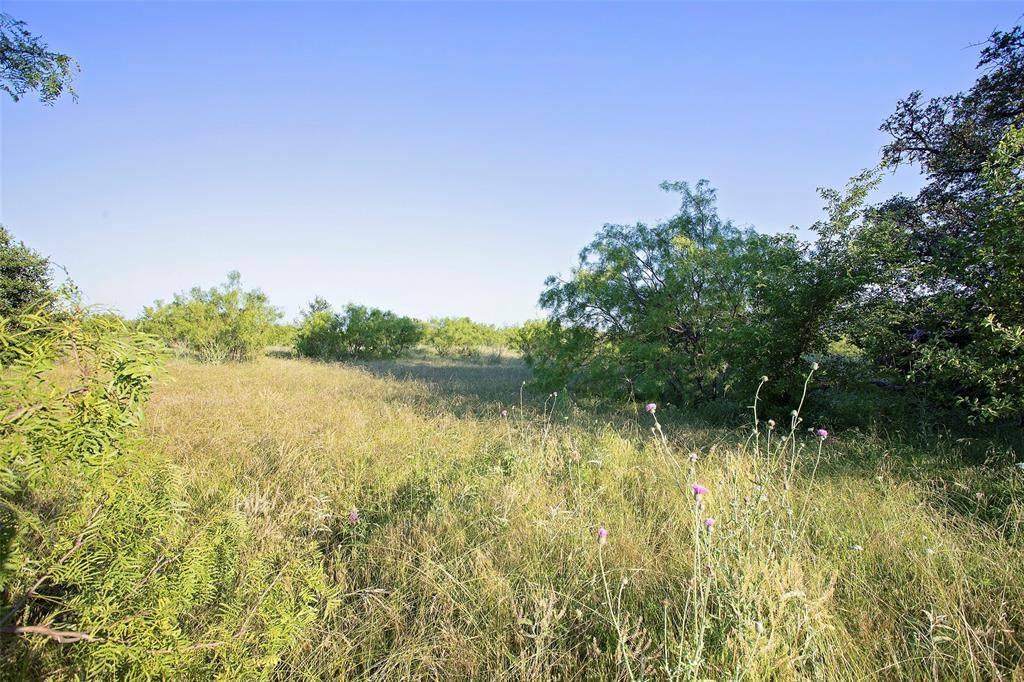 Graford, TX 76449,Lot 447 Indigo Bush Court