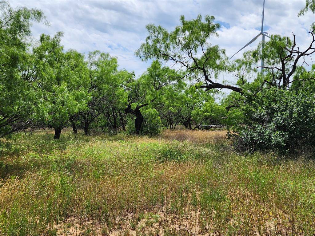 Cisco, TX 76437,TBD County Road 125