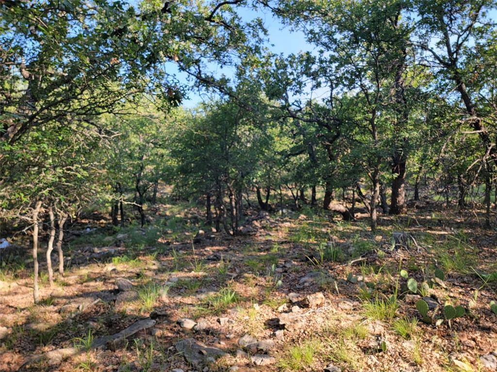 May, TX 76857,TBD Cherokee Drive