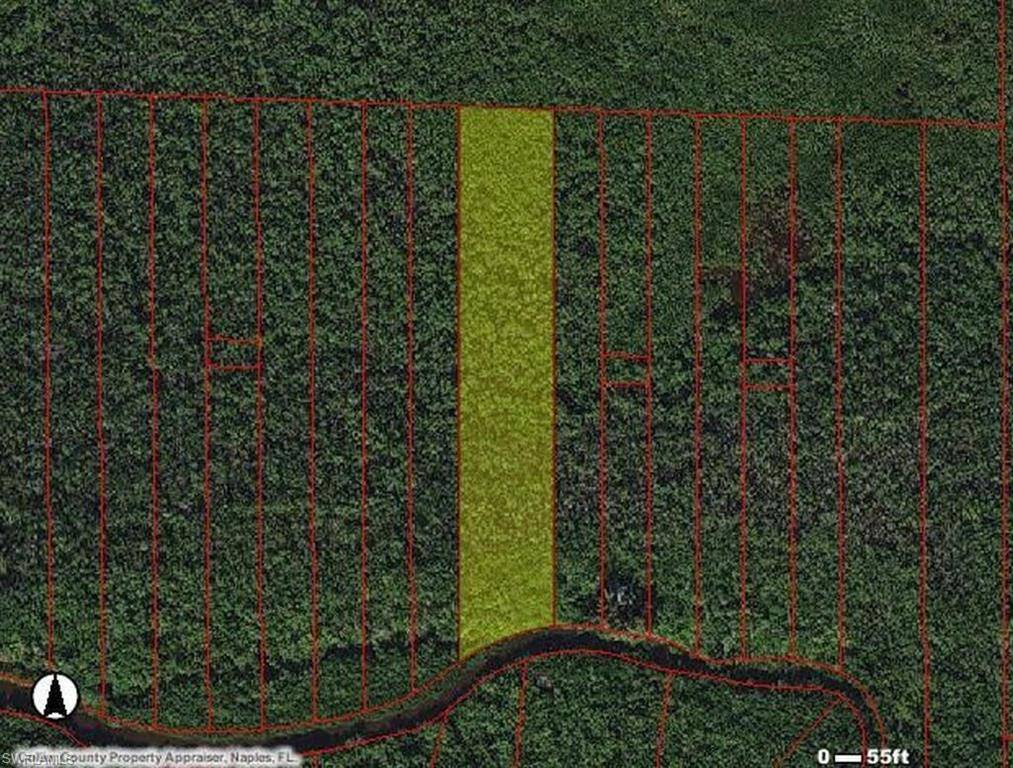No Access Road, Everglades City, FL 34141