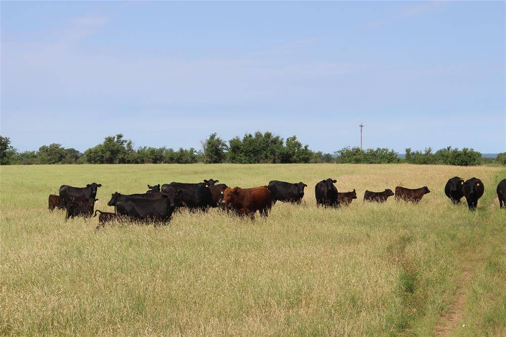 Blanket, TX 76432,9999 County Road 334