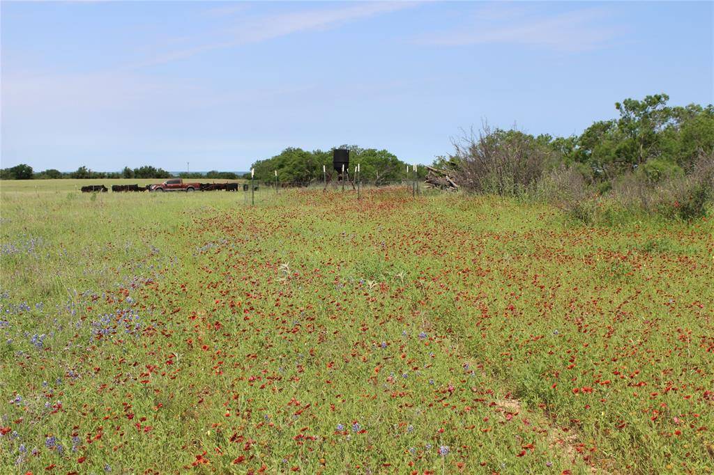 Blanket, TX 76432,9999 County Road 334