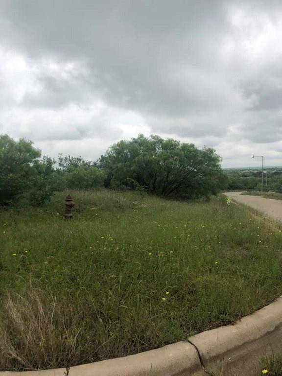 Baird, TX 79504,Lot 9 Lone Star Drive