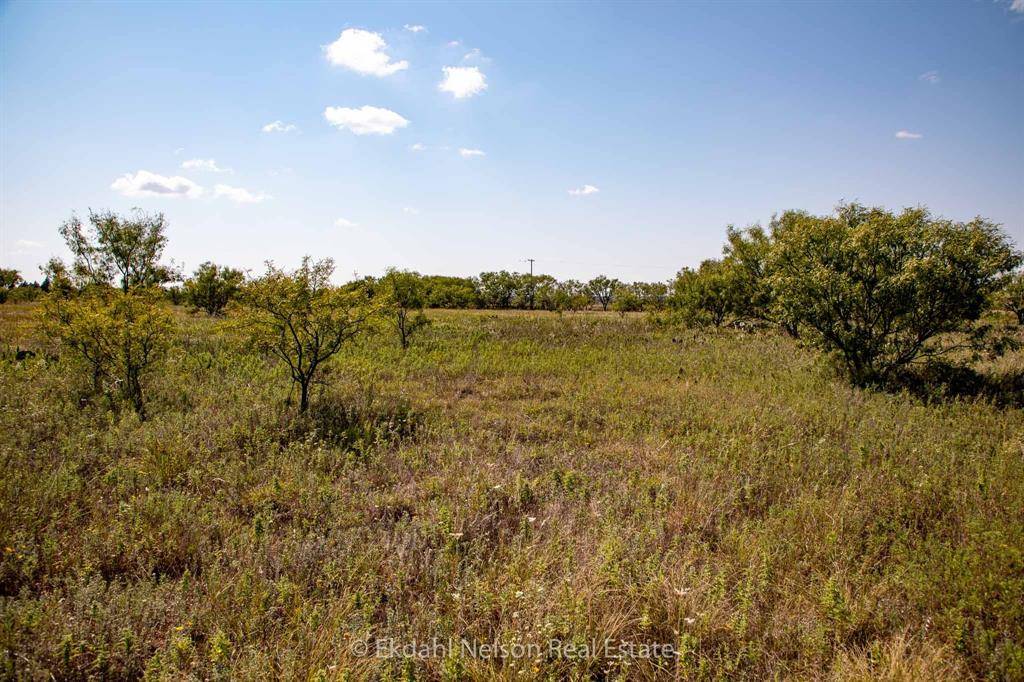 Anson, TX 79501,TBD 2 FM 707