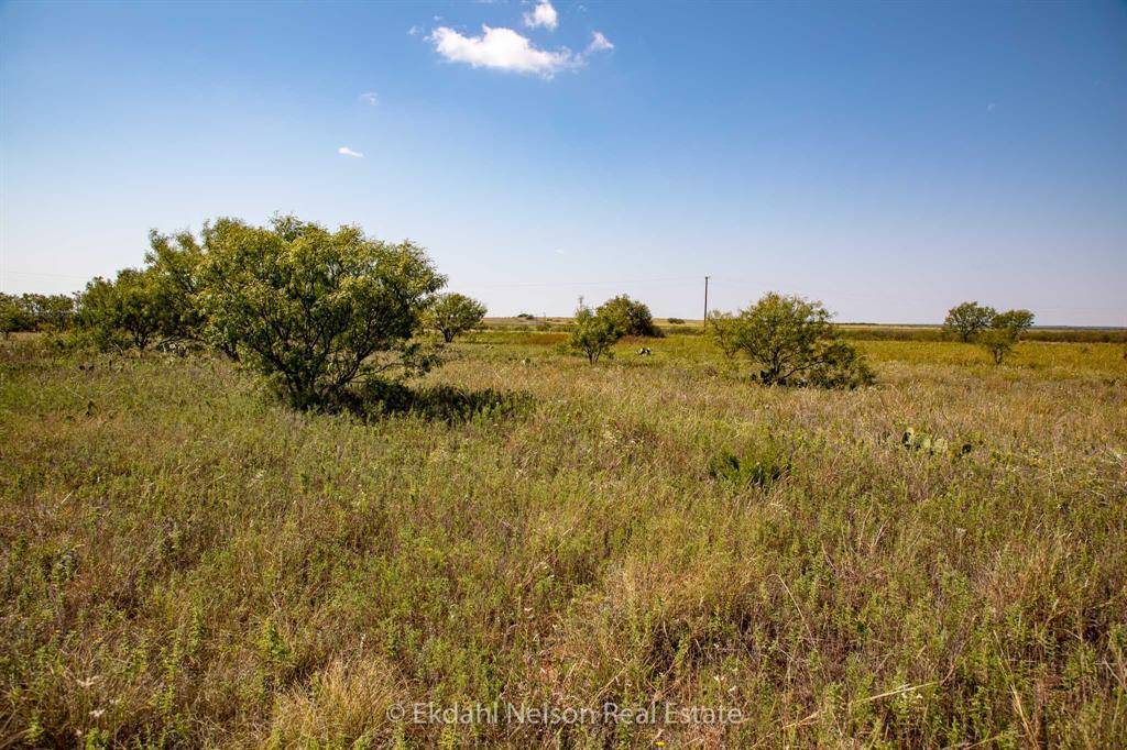 Anson, TX 79501,TBD 2 FM 707