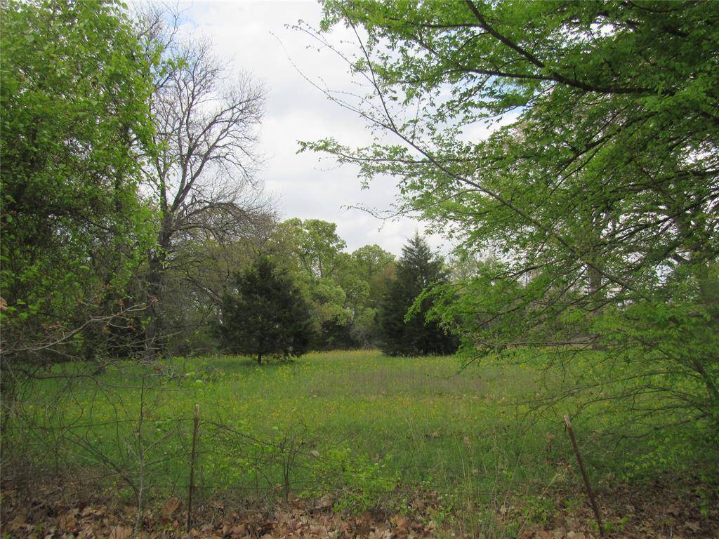 Emory, TX 75440,TBD RS County Road 3210