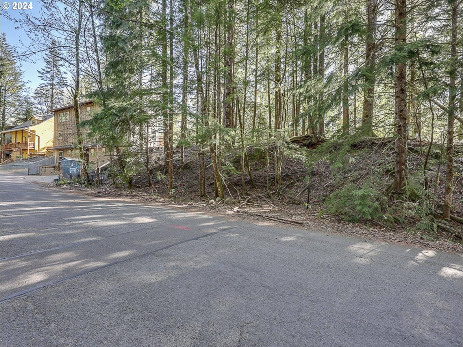 Rhododendron, OR 97049,64680 E SANDY RIVER LN