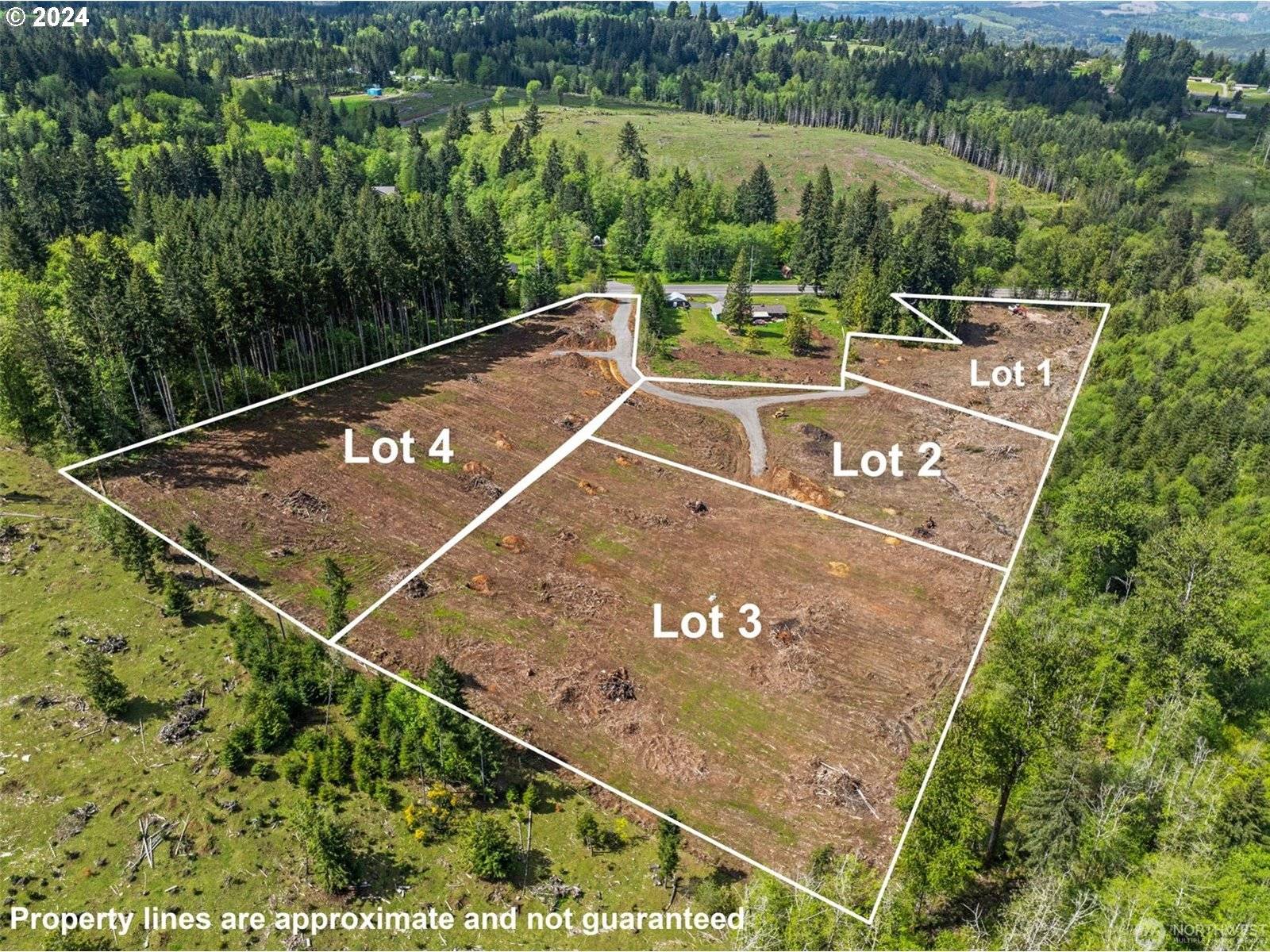 Castle Rock, WA 98611,0 Spirit lake HWY #Lot 1