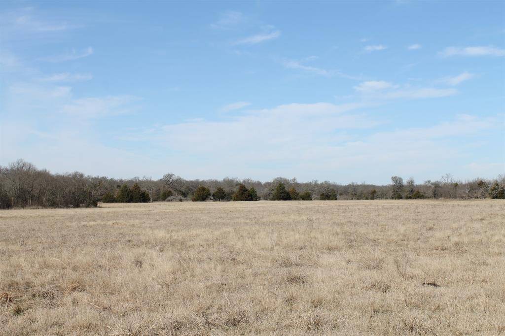 Greenville, TX 75401,90 Ac. CR 1083