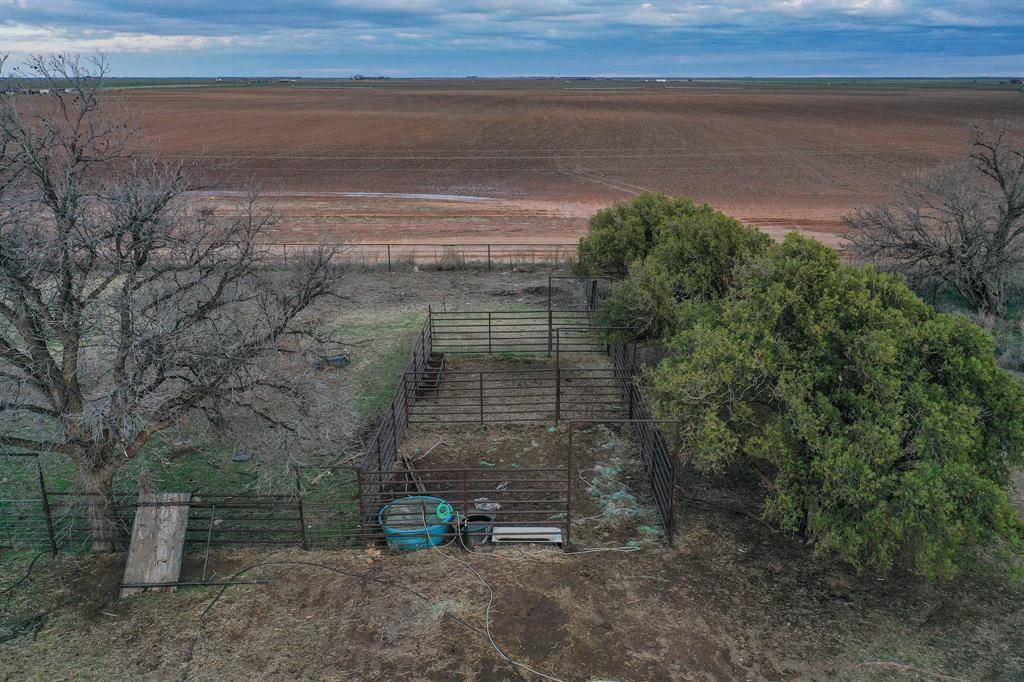 Obrien, TX 79539,954 County Road 1694