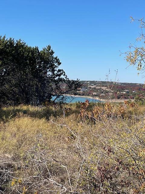 Bluff Dale, TX 76433,3-982 Majestic Shores