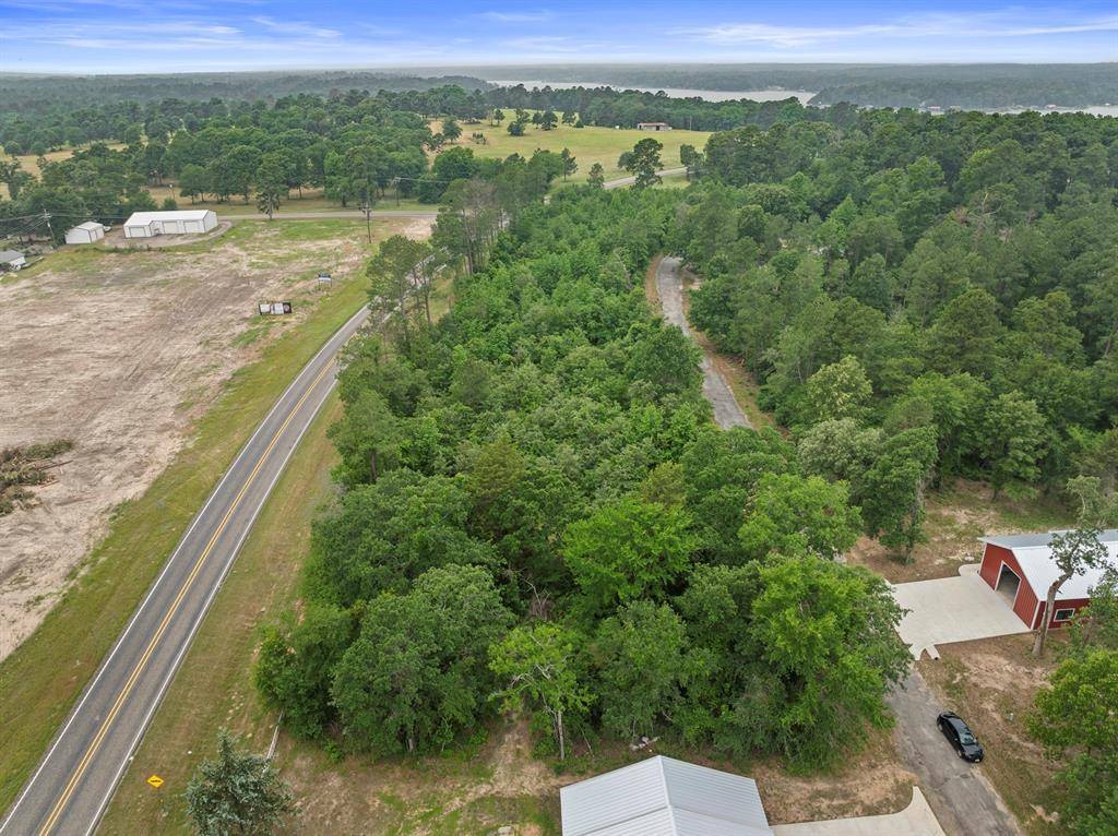 Scroggins, TX 75480,LOT R9 Big Pine Estates