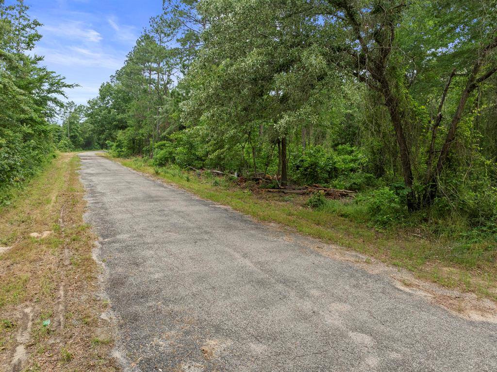 Scroggins, TX 75480,LOT R1 Big Pine Estates