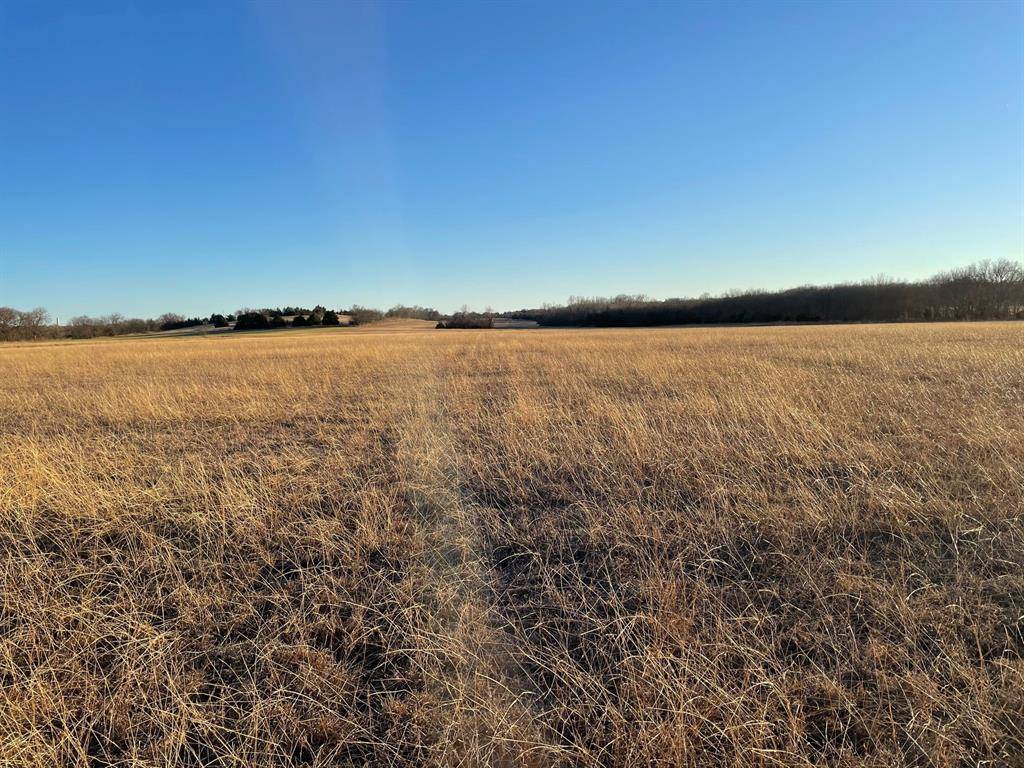 Sherman, TX 75090,61.96ac Mary Fitch Road