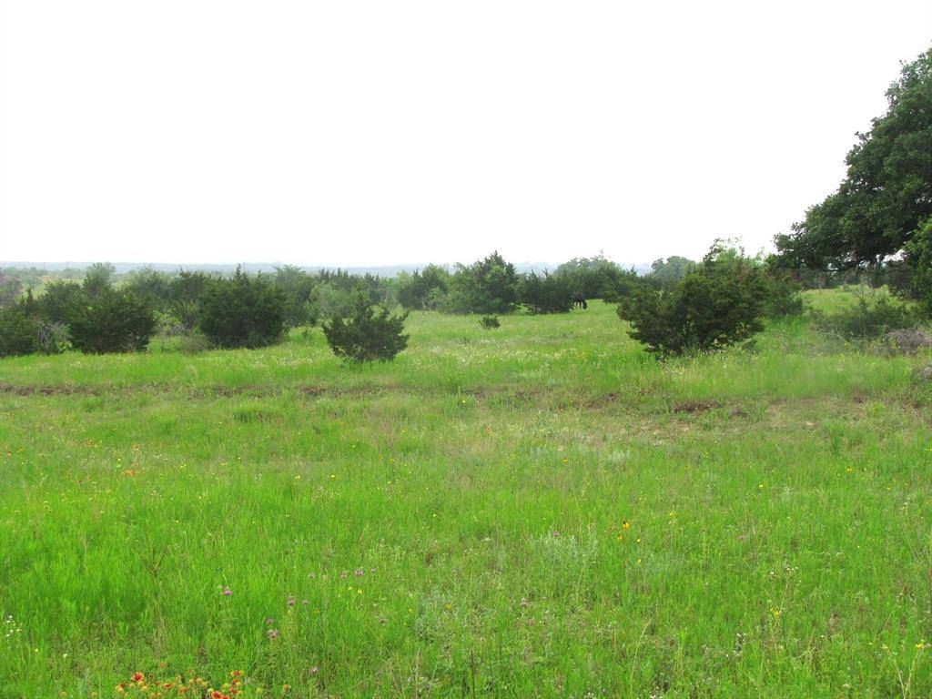 Hamilton, TX 76531,Lot N31 PR 2902