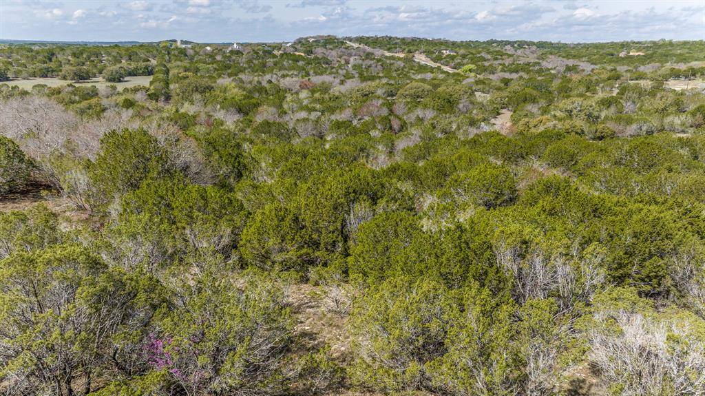 Bluff Dale, TX 76433,420 Bluegill Ridge