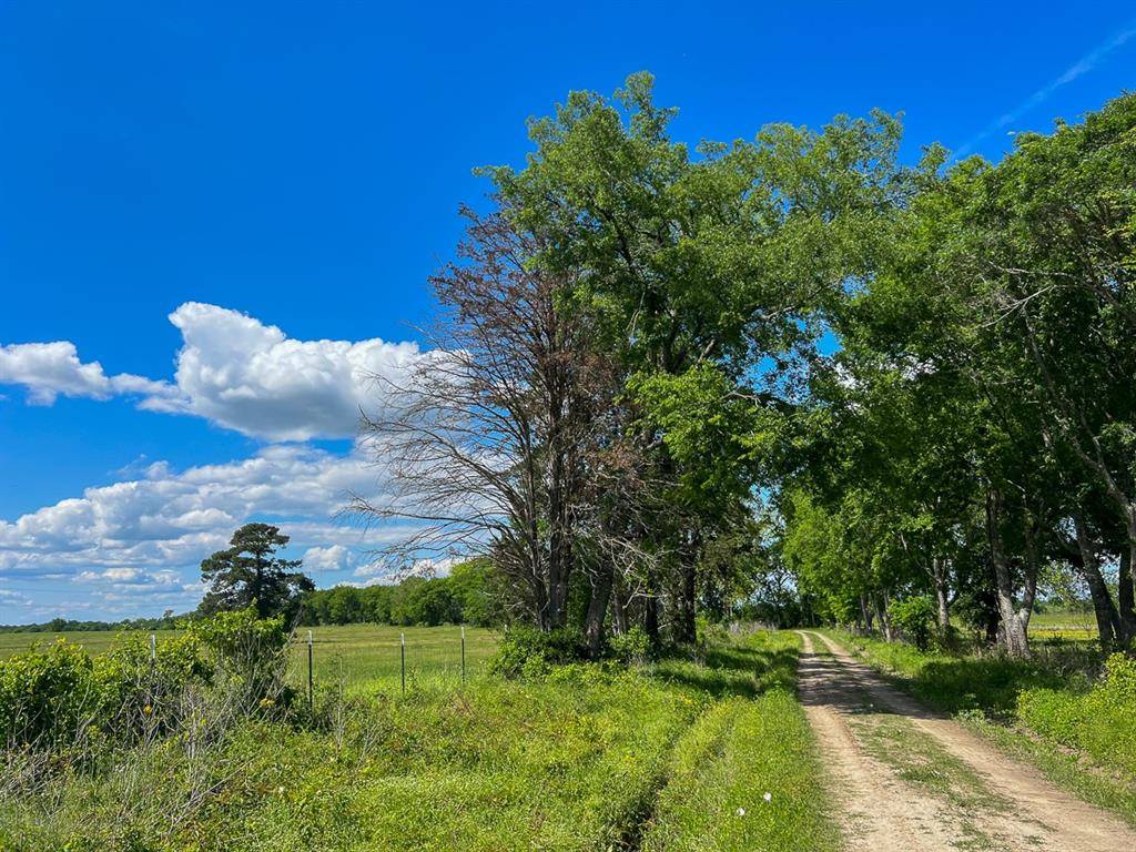 Lovelady, TX 75851,0000 CR 3625A