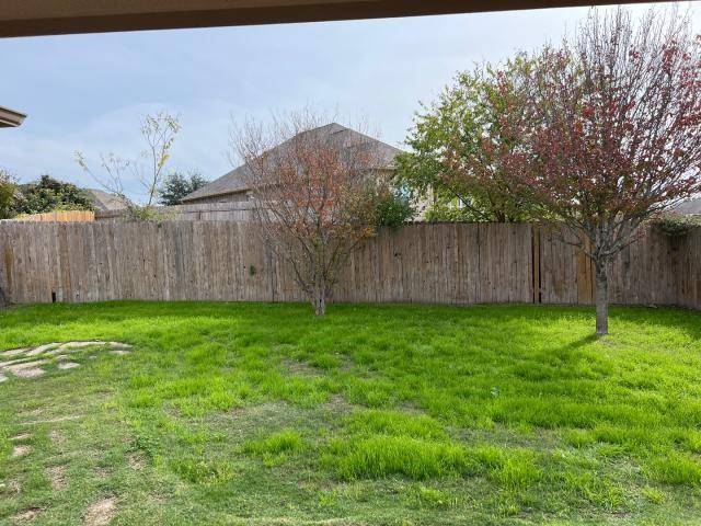 New Braunfels, TX 78132,6329 Iris Run