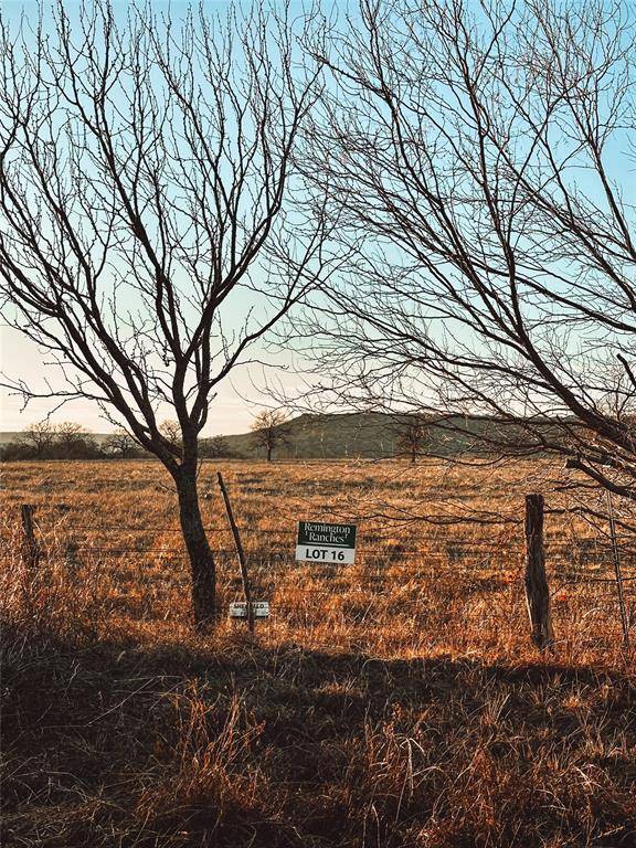 Santo, TX 76067,Lot 10 Dobbs Valley Road