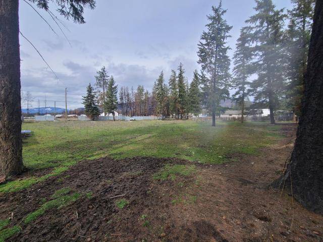 North Shuswap, BC V0E 1M5,LOT C SQUILAX ANGLEMONT ROAD