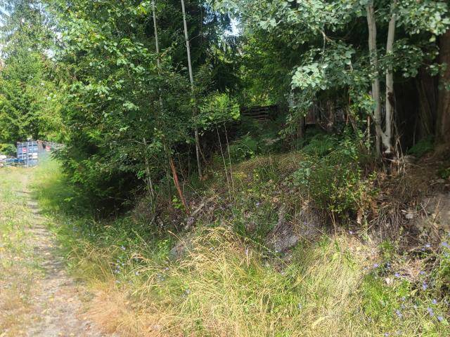 North Shuswap, BC V0E 1M8,7461 ANGLEMONT ROAD