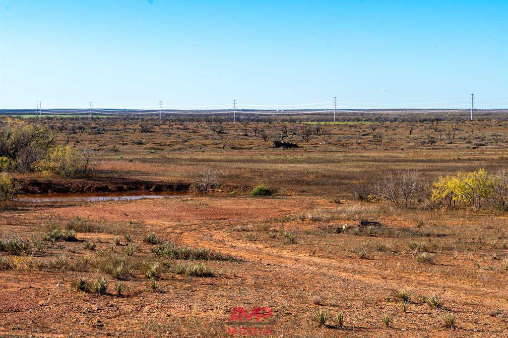 Merkel, TX 79536,19053 FM 1812