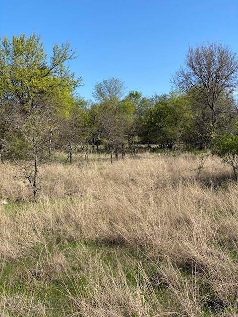 Bridgeport, TX 76426,Lot 6 E Bay Drive