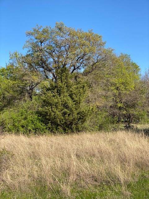 Bridgeport, TX 76426,Lot 6 E Bay Drive