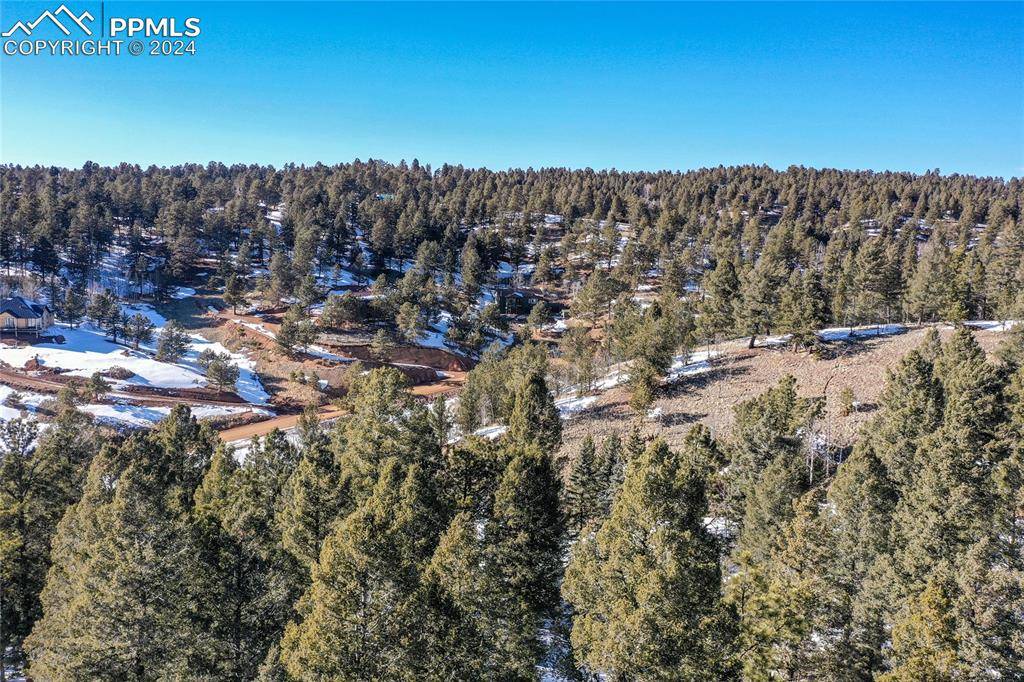 Divide, CO 80814,329 Cottonwood Lake DR