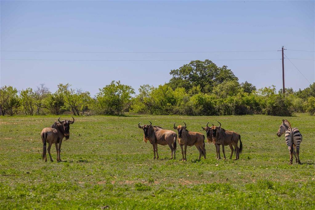 Sidney, TX 76474,569 CR 177 CR 177