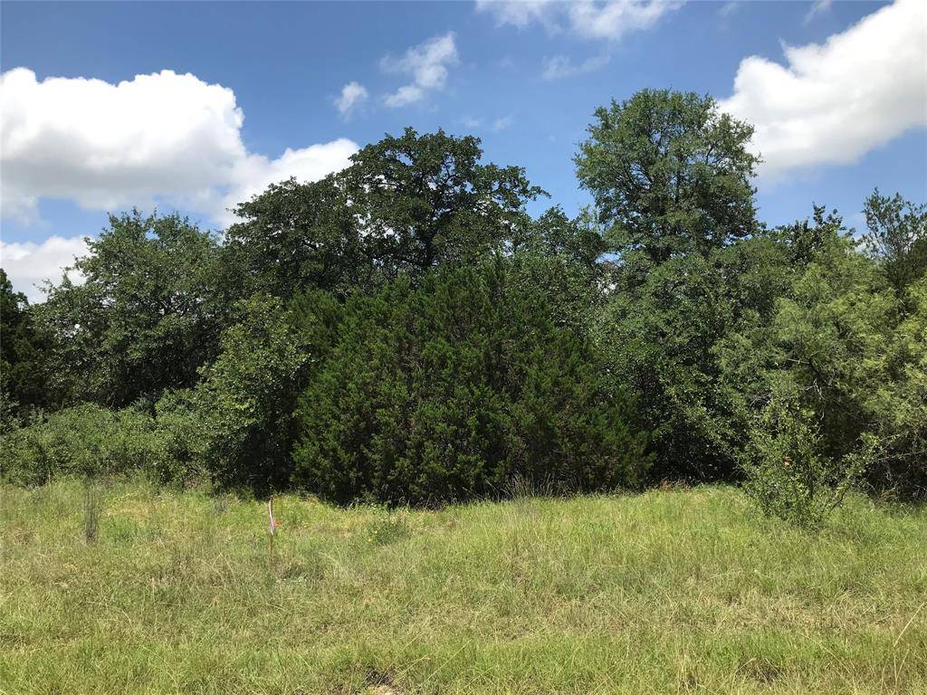 Palo Pinto, TX 76484,Lot 16 N Lakeview Drive