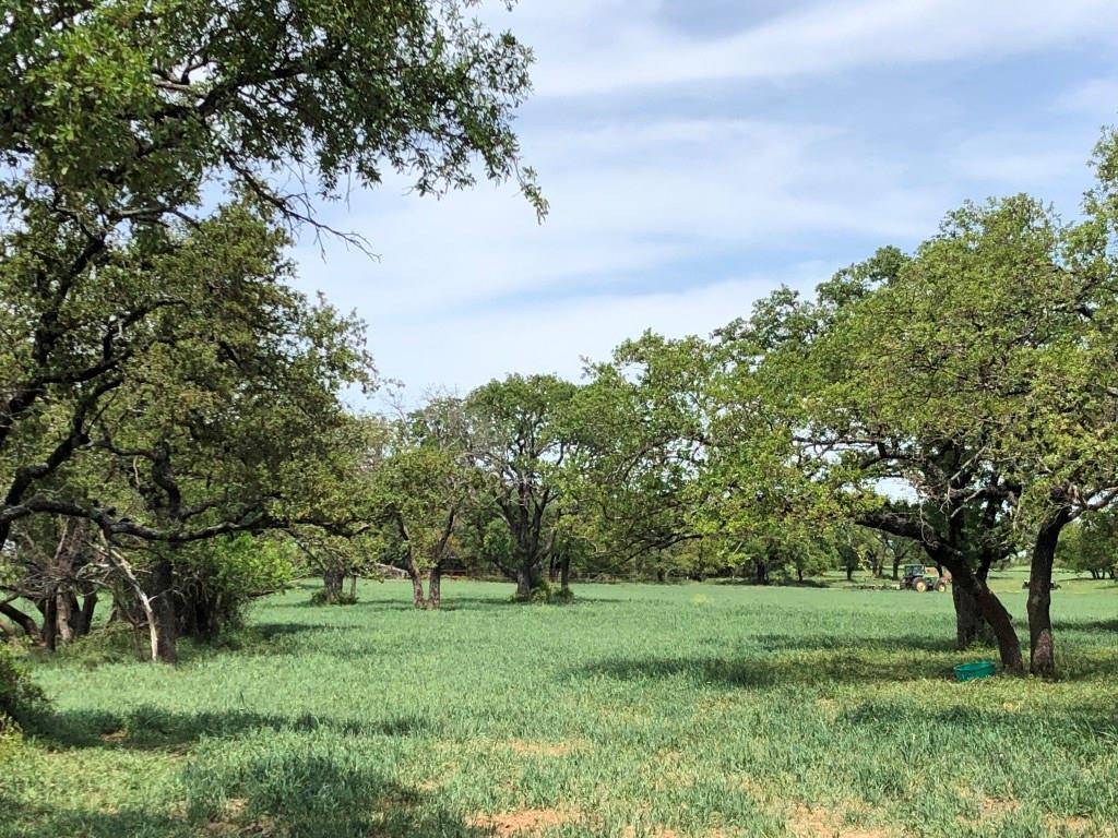 Rising Star, TX 76471,TBD Co Road 271