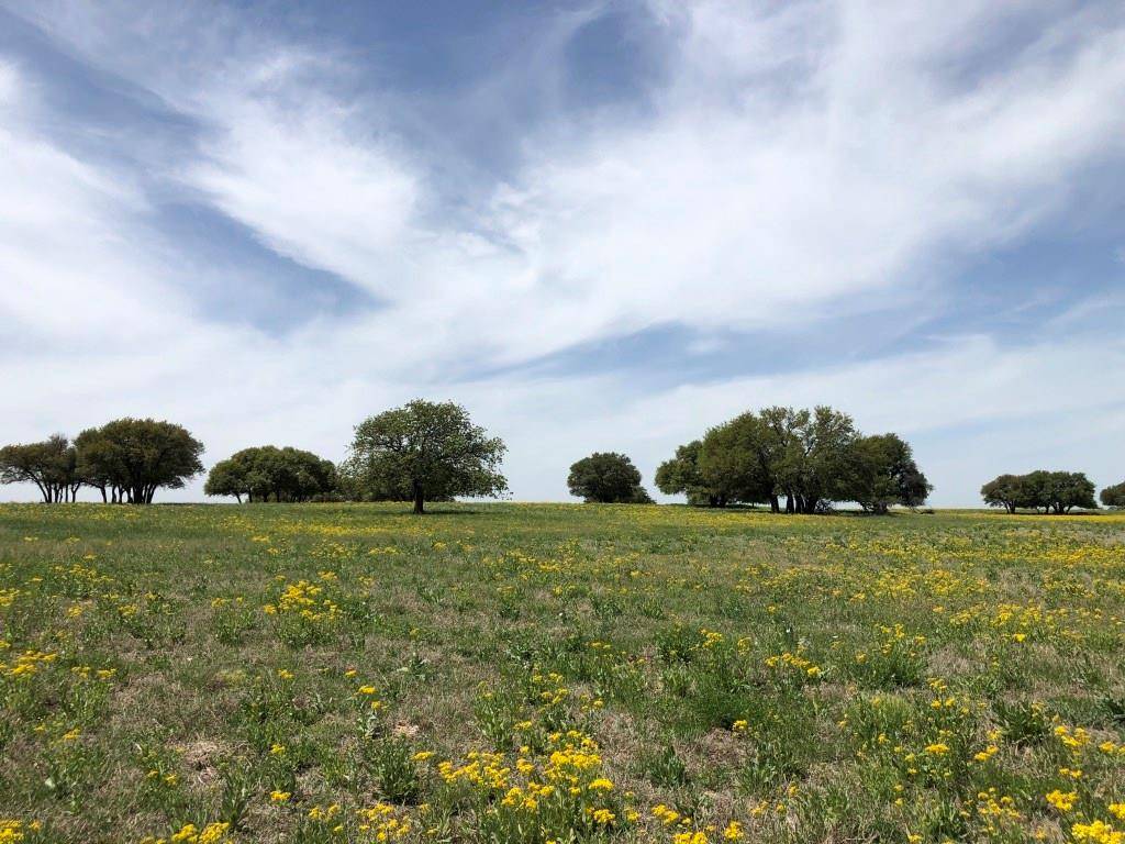 Rising Star, TX 76471,TBD Co Road 271