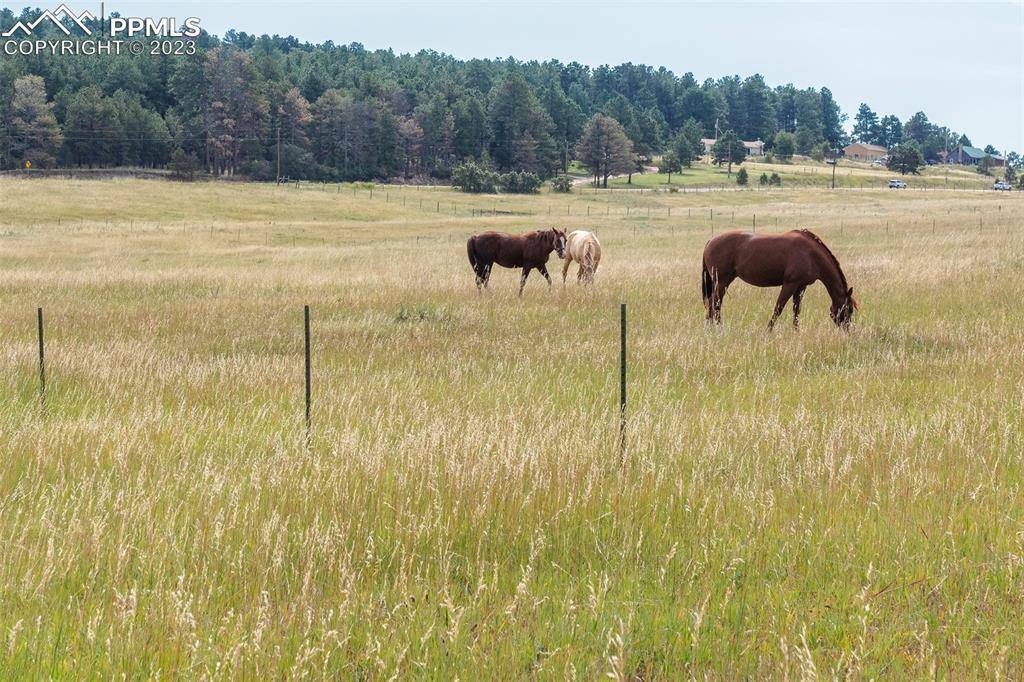 Larkspur, CO 80118,14119 S Perry Park RD