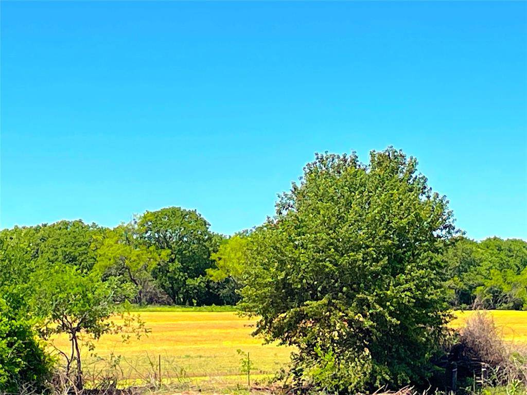 Whitt, TX 76490,TBD Whitt Circle