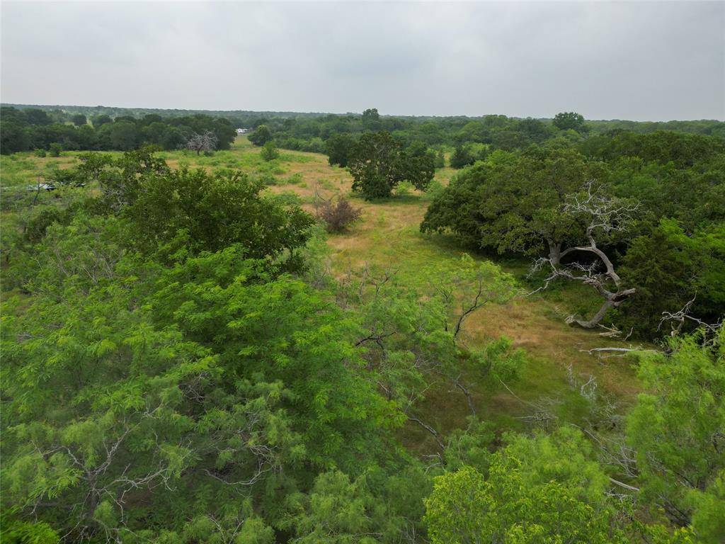 Scurry, TX 75158,14226 County Road 4060