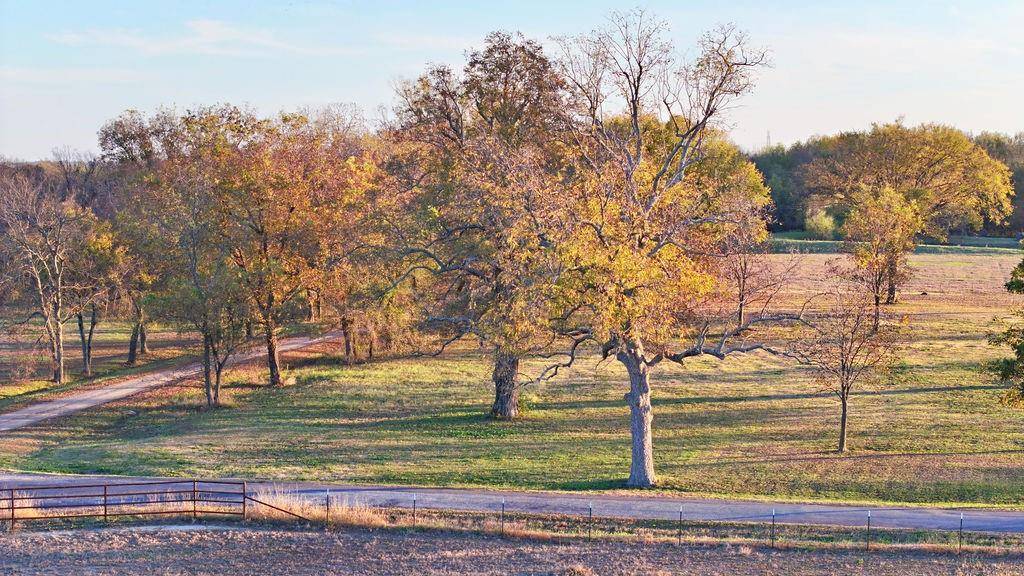 Honey Grove, TX 75446,TBD County Road 2850