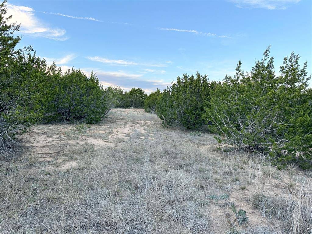 Ovalo, TX 79541,TBD County Rd 184