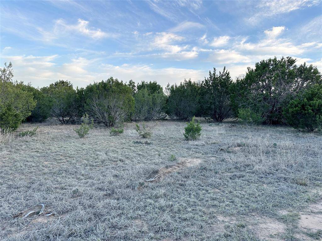 Ovalo, TX 79541,TBD County Rd 184