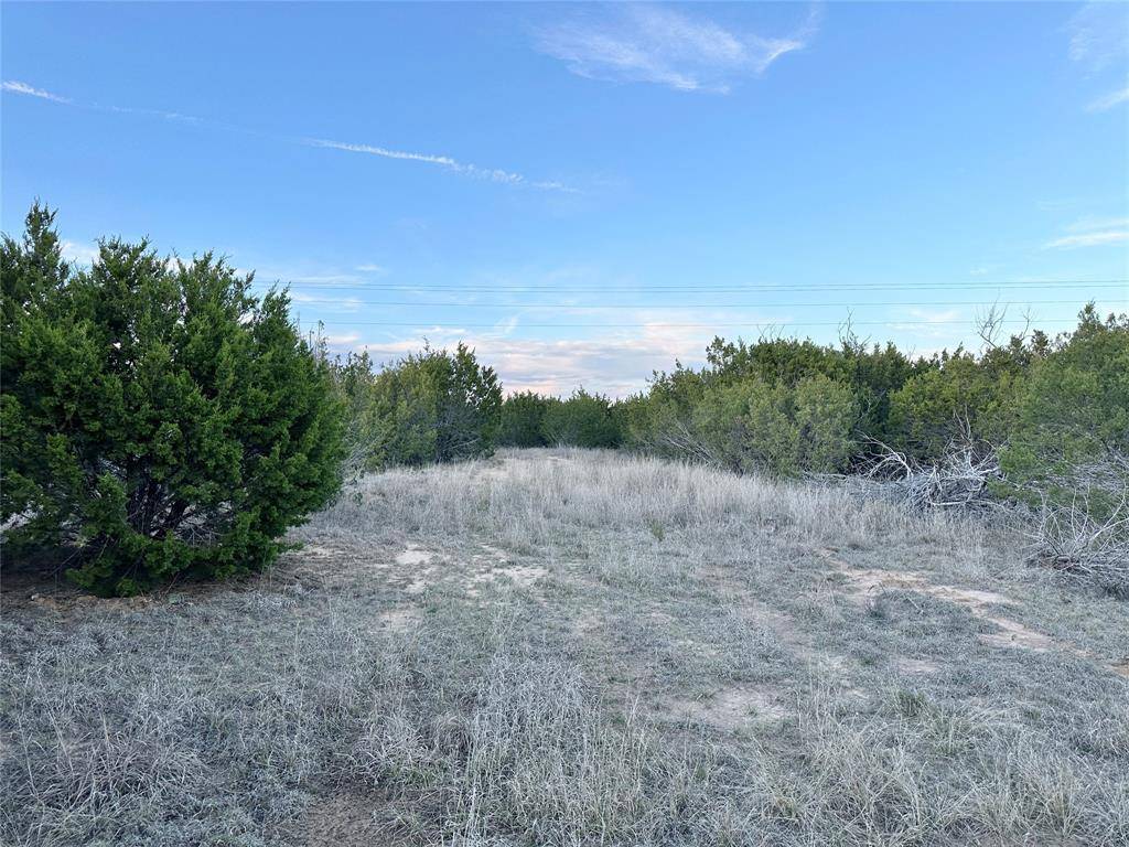 Ovalo, TX 79541,TBD County Rd 184