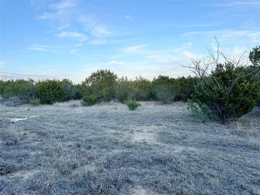 Ovalo, TX 79541,TBD County Rd 184