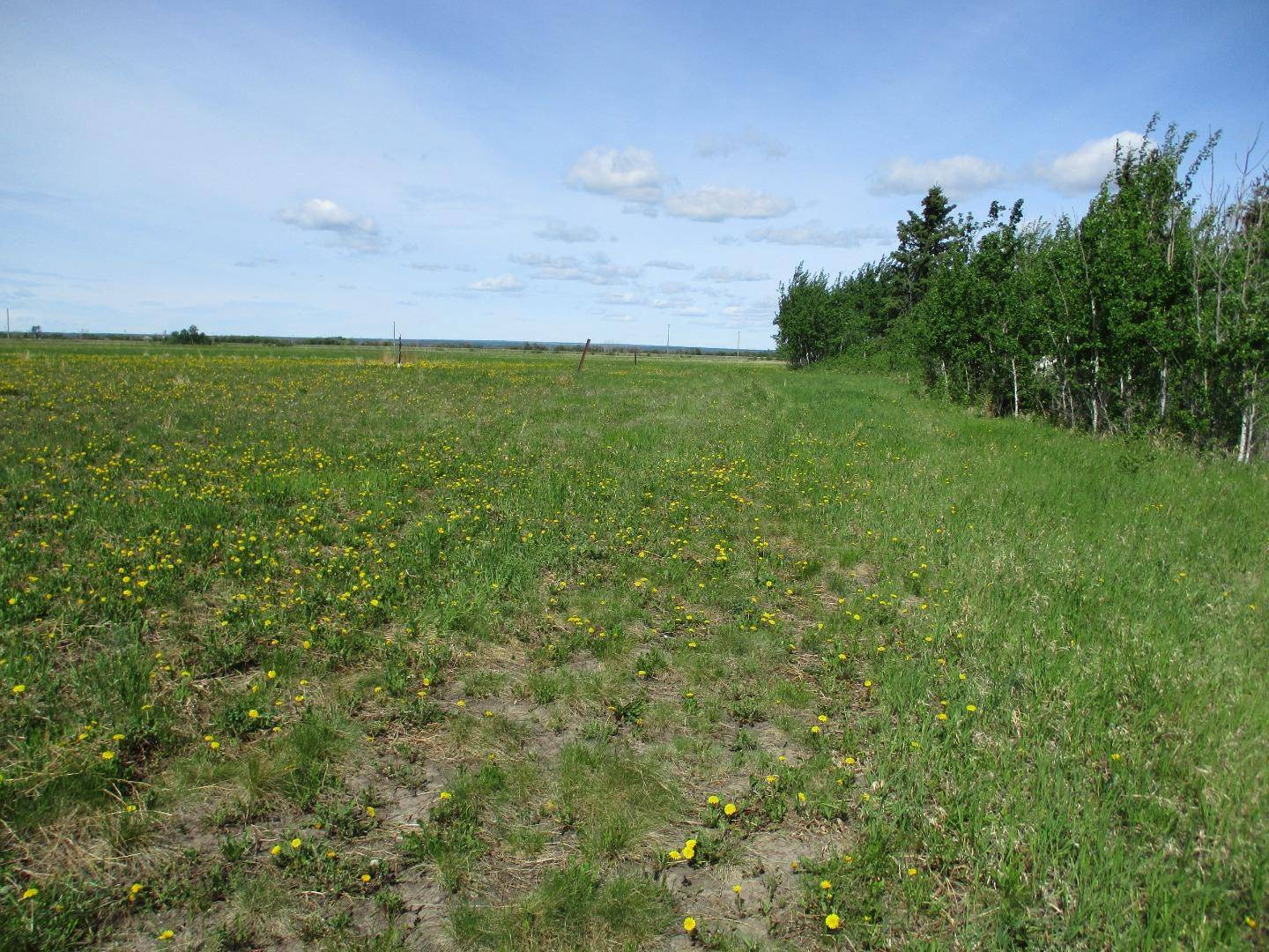 Rural Northern Lights County Of, AB T0H 2M0,15231004 Twp Rd 920