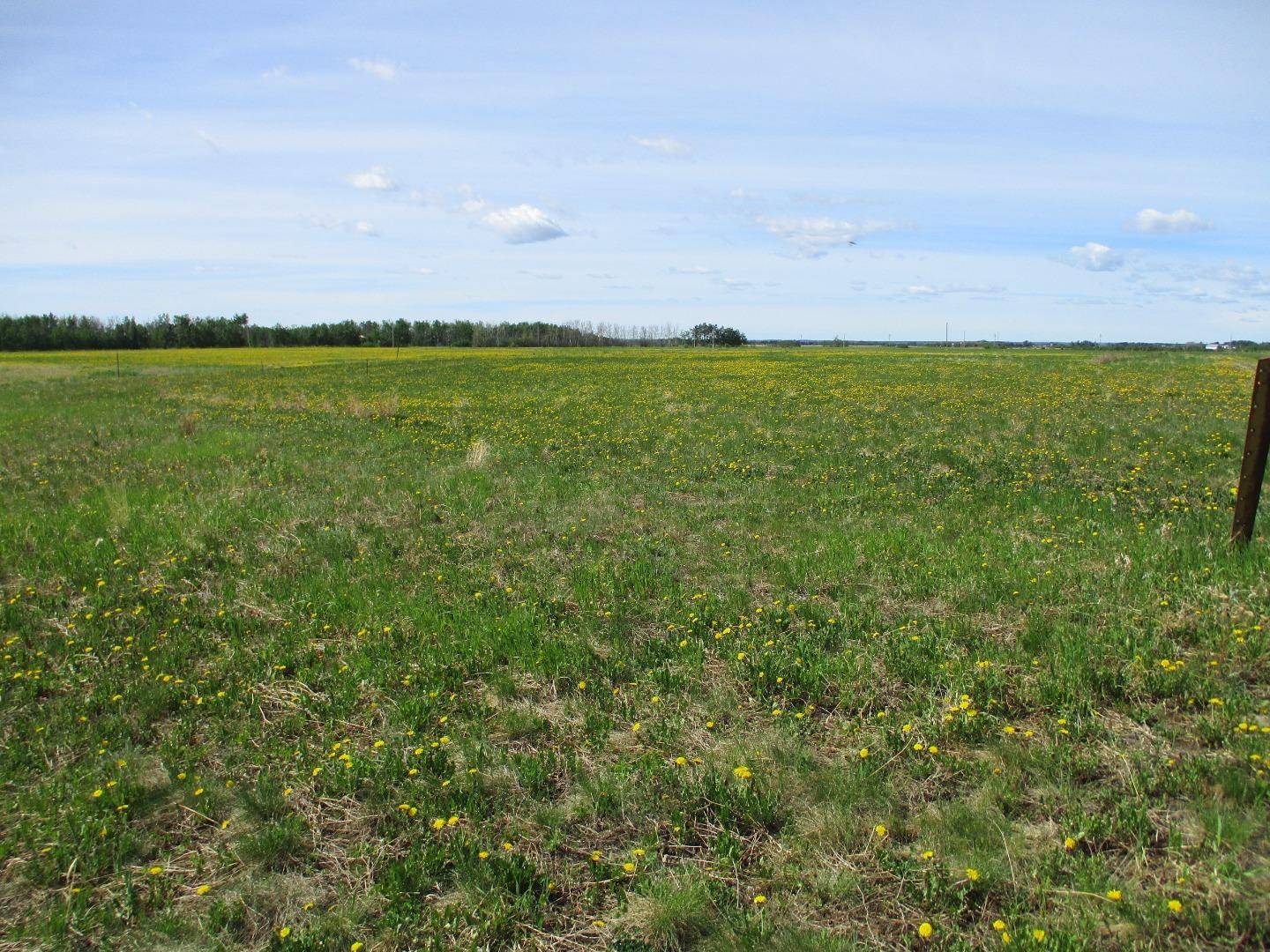 Rural Northern Lights County Of, AB T0H 2M0,15231004 Twp Rd 920