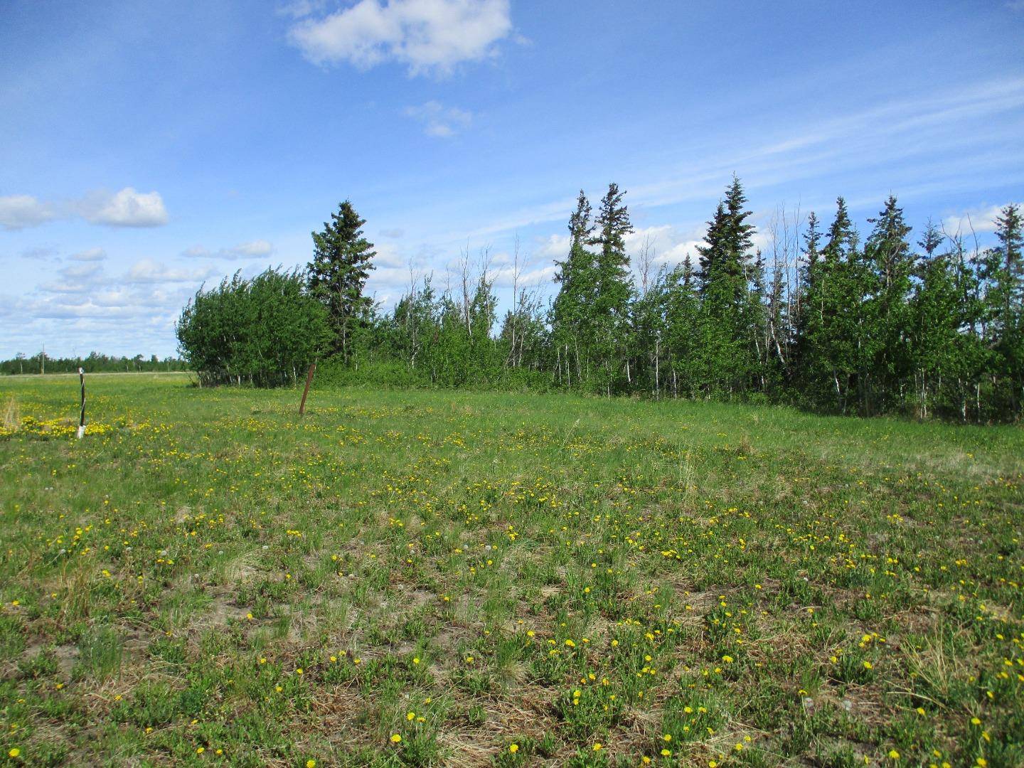 Rural Northern Lights County Of, AB T0H 2M0,15231004 Twp Rd 920