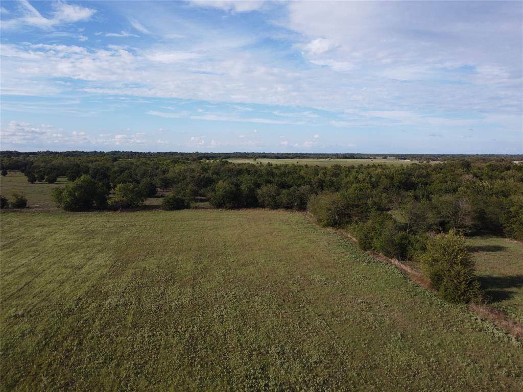 Campbell, TX 75422,12 acre FM 499