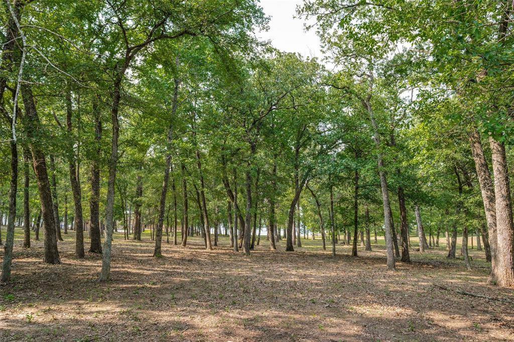 Streetman, TX 75859,Lot 3 SE CR 2359