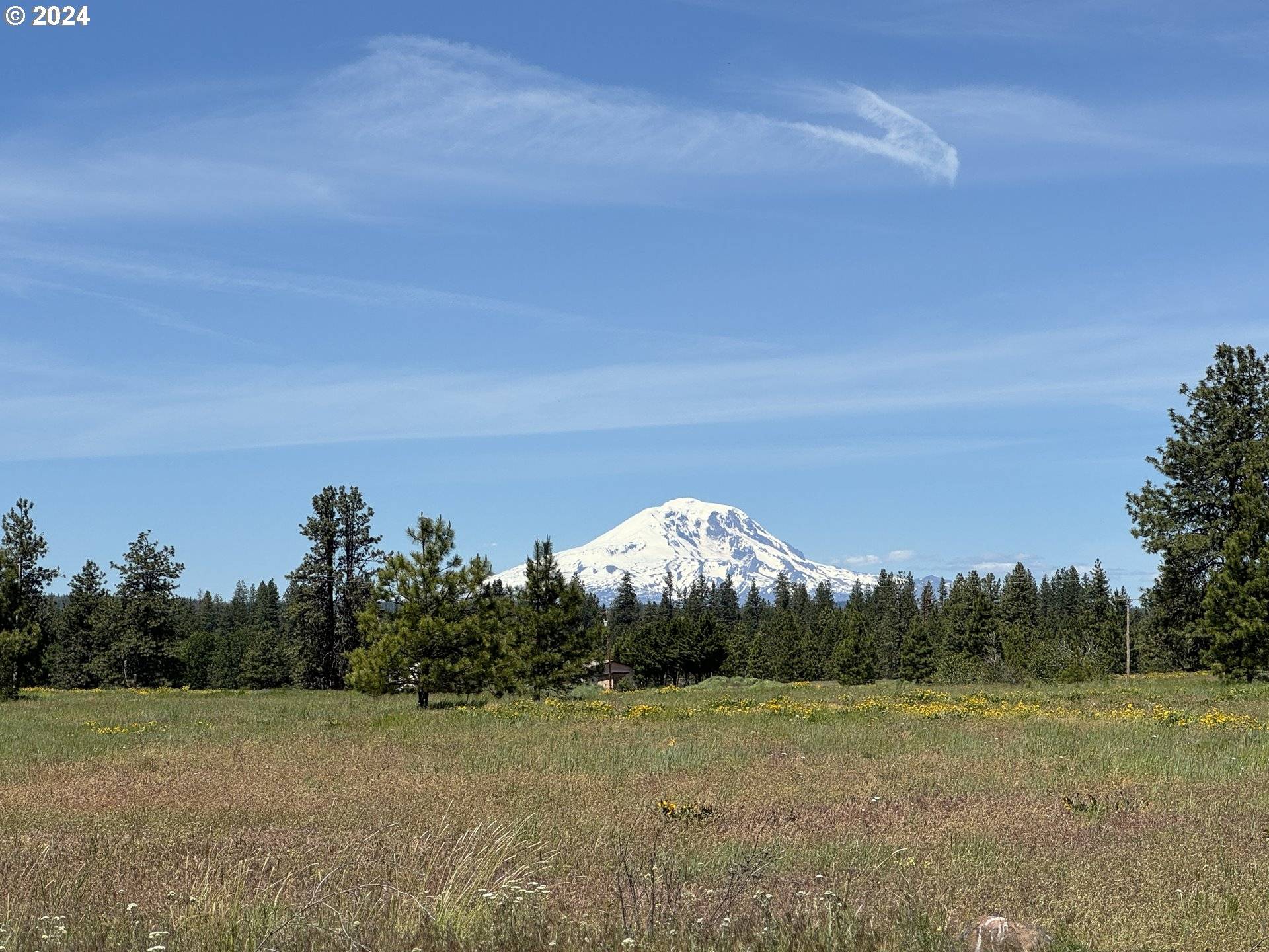 Goldendale, WA 98620,1 MOUNTAIN VIEW RANCH RD